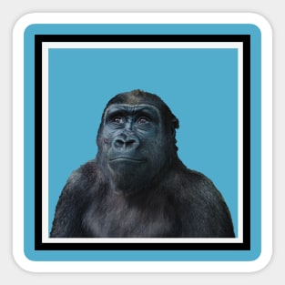 Pocket Gorilla Charity Sticker